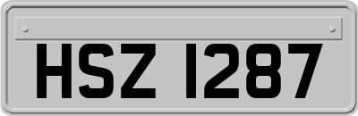 HSZ1287