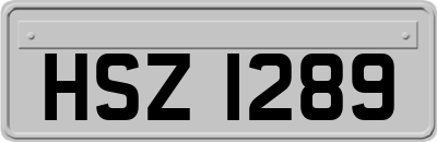 HSZ1289