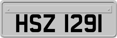 HSZ1291