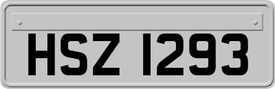 HSZ1293