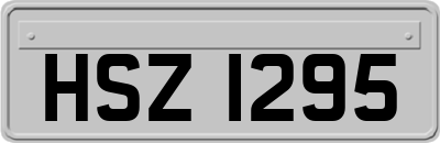 HSZ1295