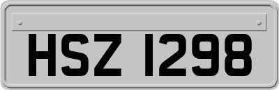 HSZ1298