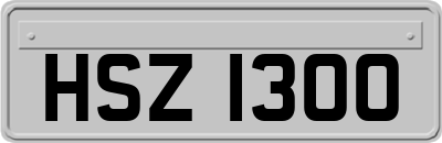 HSZ1300
