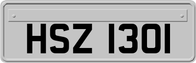 HSZ1301