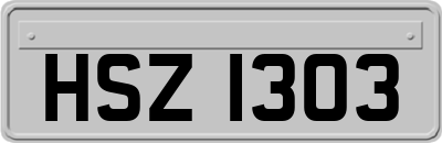 HSZ1303