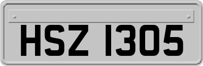HSZ1305