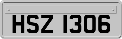 HSZ1306