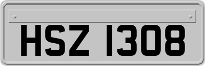 HSZ1308