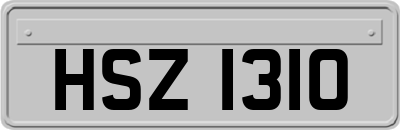HSZ1310