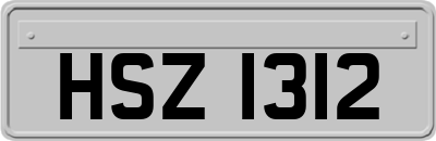 HSZ1312