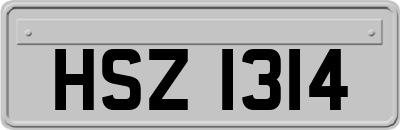 HSZ1314