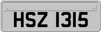 HSZ1315