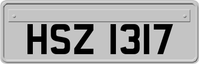 HSZ1317