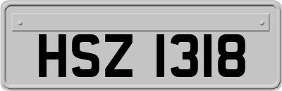 HSZ1318