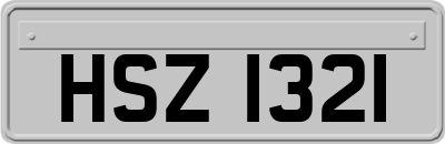 HSZ1321
