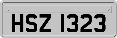 HSZ1323