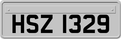 HSZ1329