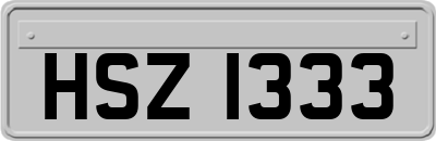 HSZ1333