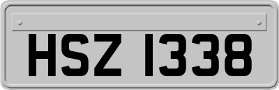 HSZ1338