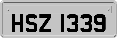 HSZ1339