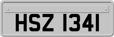 HSZ1341