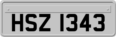HSZ1343