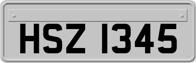 HSZ1345