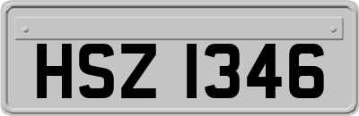 HSZ1346