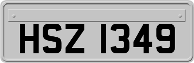 HSZ1349