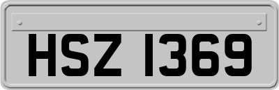 HSZ1369