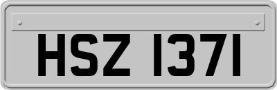 HSZ1371