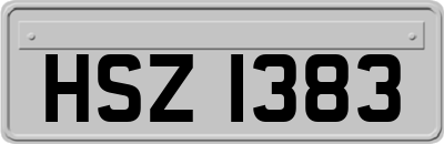 HSZ1383