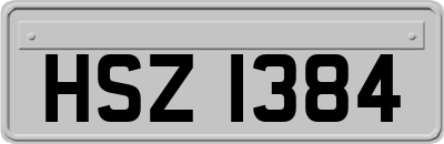 HSZ1384