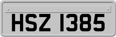 HSZ1385