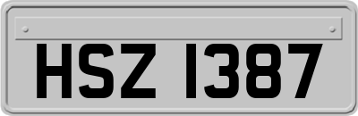 HSZ1387