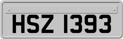 HSZ1393