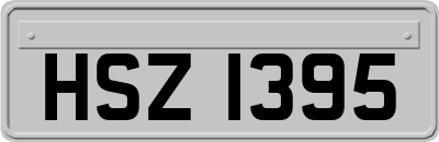 HSZ1395