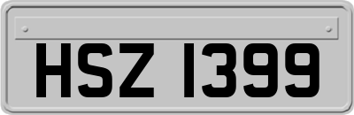HSZ1399