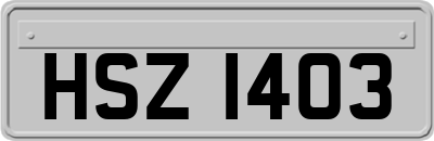 HSZ1403