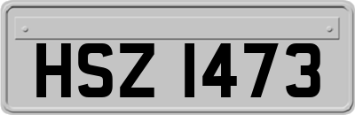 HSZ1473