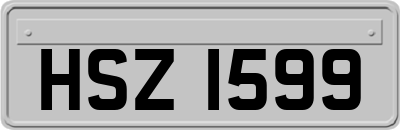HSZ1599