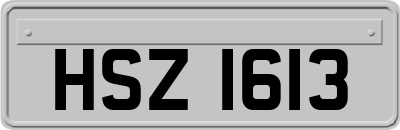 HSZ1613