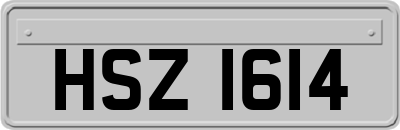 HSZ1614