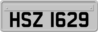 HSZ1629