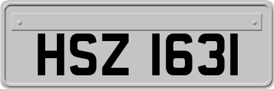 HSZ1631