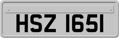 HSZ1651