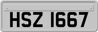 HSZ1667
