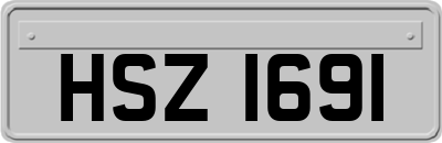 HSZ1691