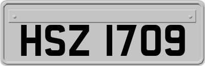 HSZ1709