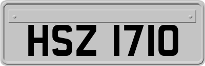 HSZ1710